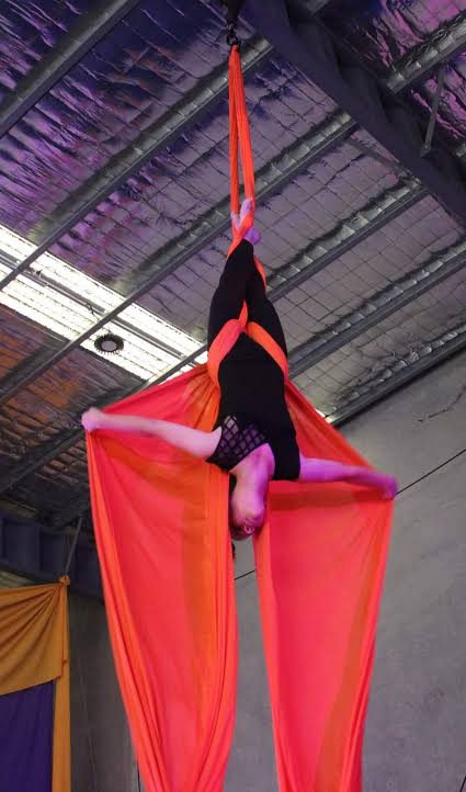 Aerial Silks